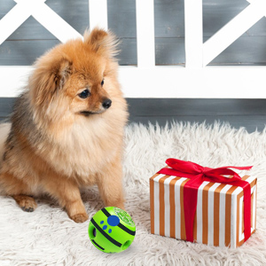 Wonderful Gift