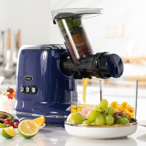 entsafter slow juicer slow juicer testsieger