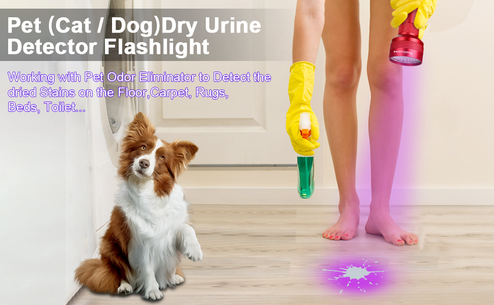 REALHUNLEE UV Flashlight Black Light, 51 LED Mini