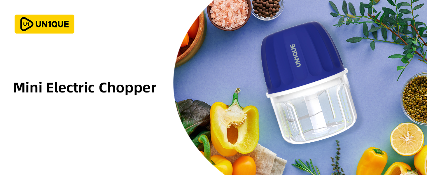 Mini Electirc Chopper