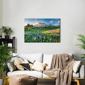 Mount Rainier Wall Art Living Room Decor Sunset National Park Canvas Prints Posters