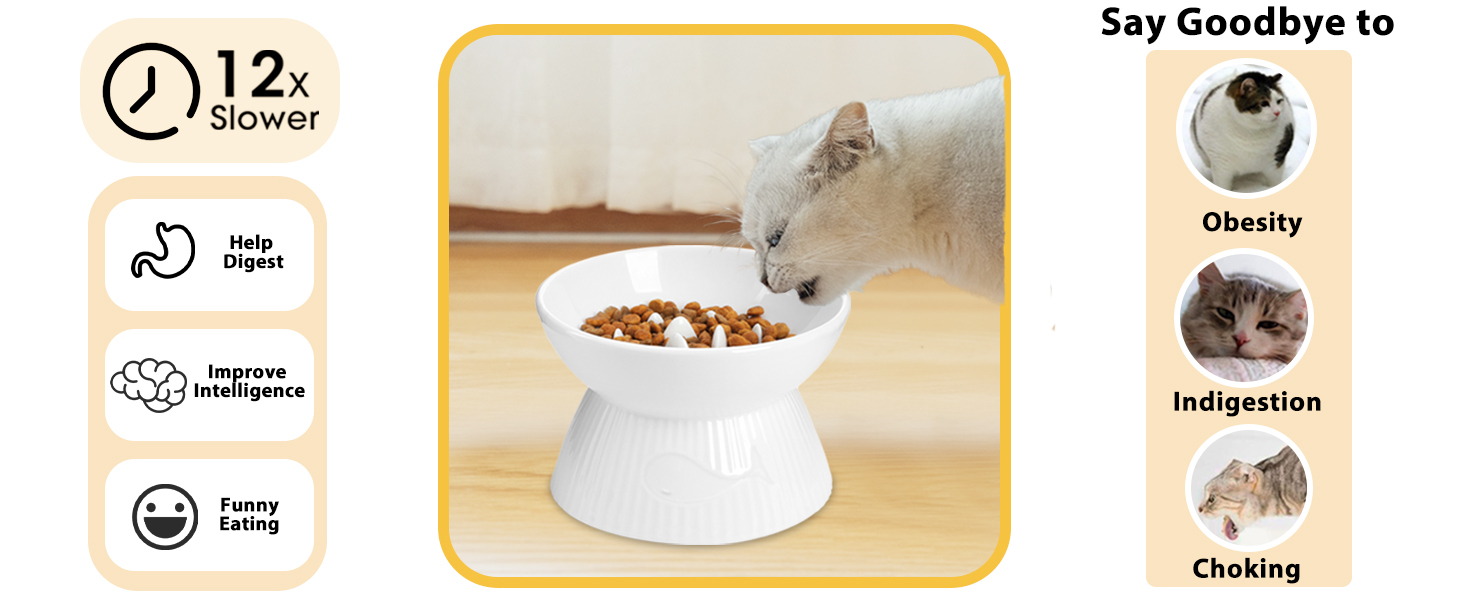 Kopmath Elevated Slow Feeder Bowl for Cats and Small Dog, Stop Vomiting