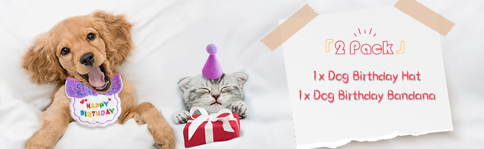 Hund-Geburtstags-Bandana