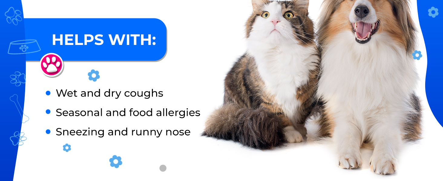 cat cold, cough suppressant for dogs