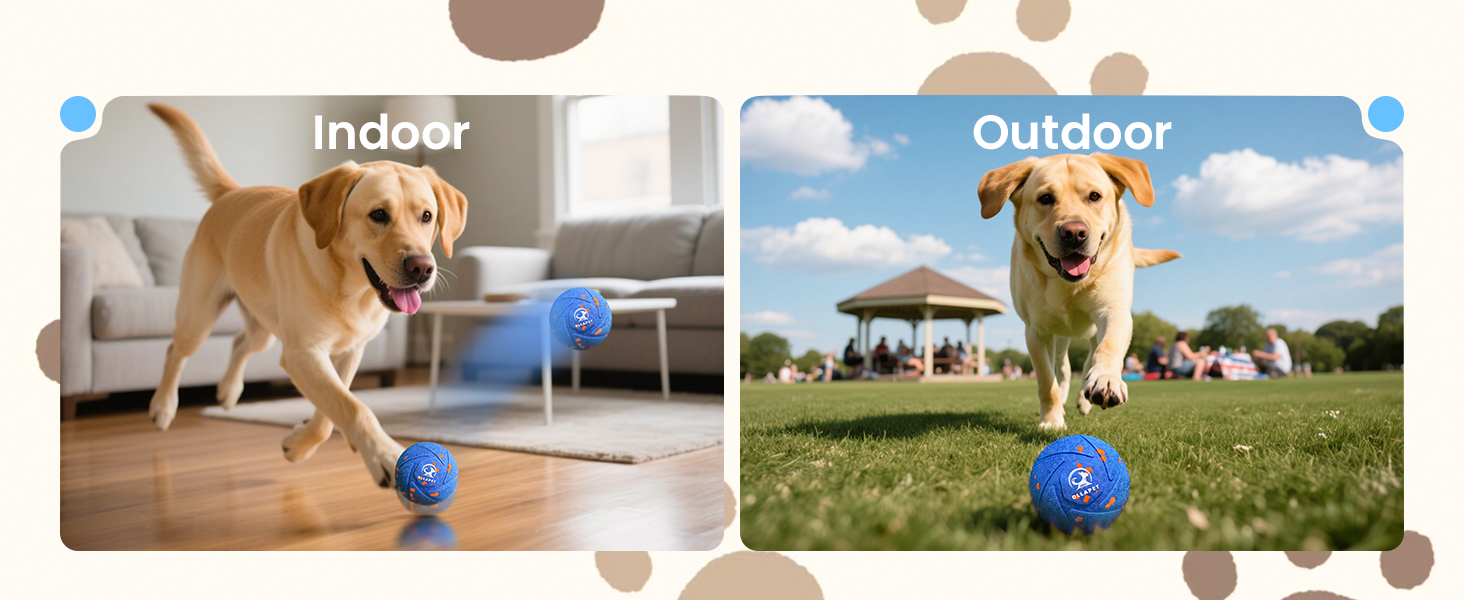 Interactive Dog Toy Ball