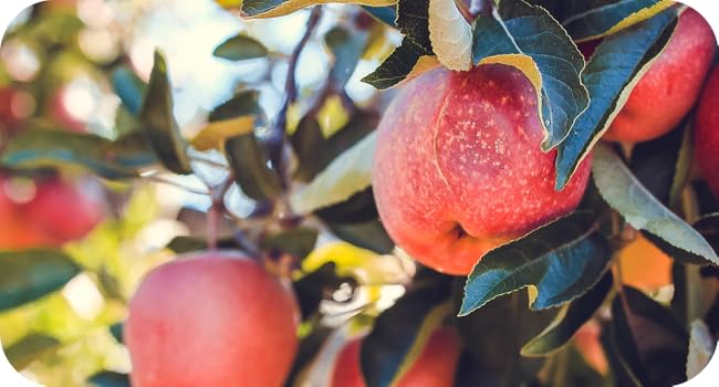 Large manufacture image 8