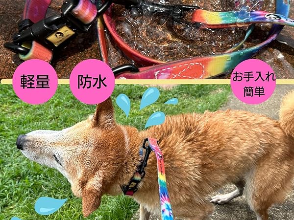 Amazon | DogGarden 防水首輪【S】＆リードセット 首周り24~36cm