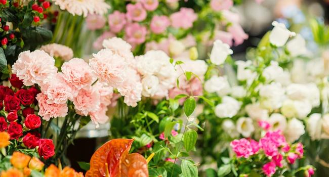 お花の魅力を感じていただける鮮度・品揃え