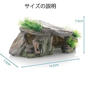 Amazon | Life2キク 爬虫類 シェルター イモリ 隠れ家 トカゲ