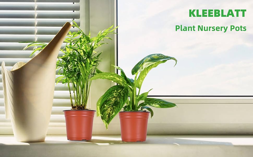 Seed Starting Pot and Seedling Flower Plant Container