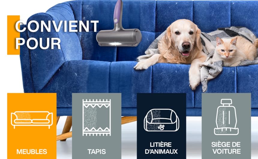 Spazzola Per Peli Di Animali Domestici, Raccogli Peli Per Gatti/cani, Viola E Grigio, Per Divano/vestiti 12 Spazzola Per Peli Di Animali Domestici, Raccogli Peli Per Gatti/cani, Viola E Grigio, Per Divano/vestiti -Cibi per cani in Italia AAHKMJXYDAFdJAOAIMEbOAchlkWZ0oakZn uVZ0mPidMNbILvCvspZ4oG3fPgIqc1P26RdPiG8KHKUtblW5 ULKvLD1OHzwX jolGWPZGyLZfD