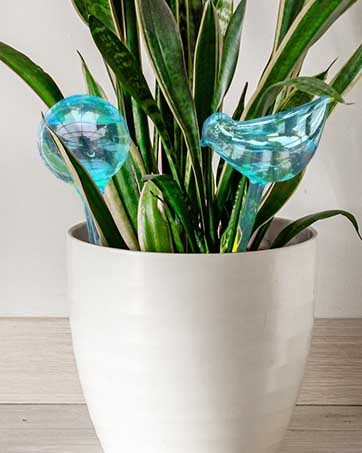 Flower Self Watering Planter Insert