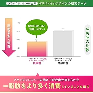 大人のカロリミット　計220回分 ファンケル 大人のカロリミット 20回分 60粒（機能性表示食品