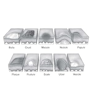 Small manufacture image 6