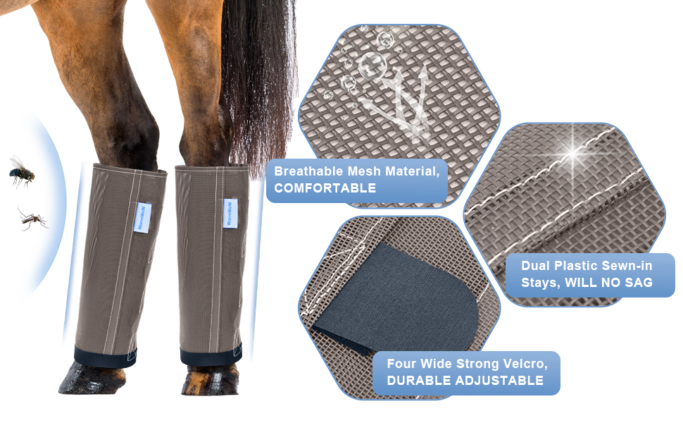 8-Quart Digital Air Fryer