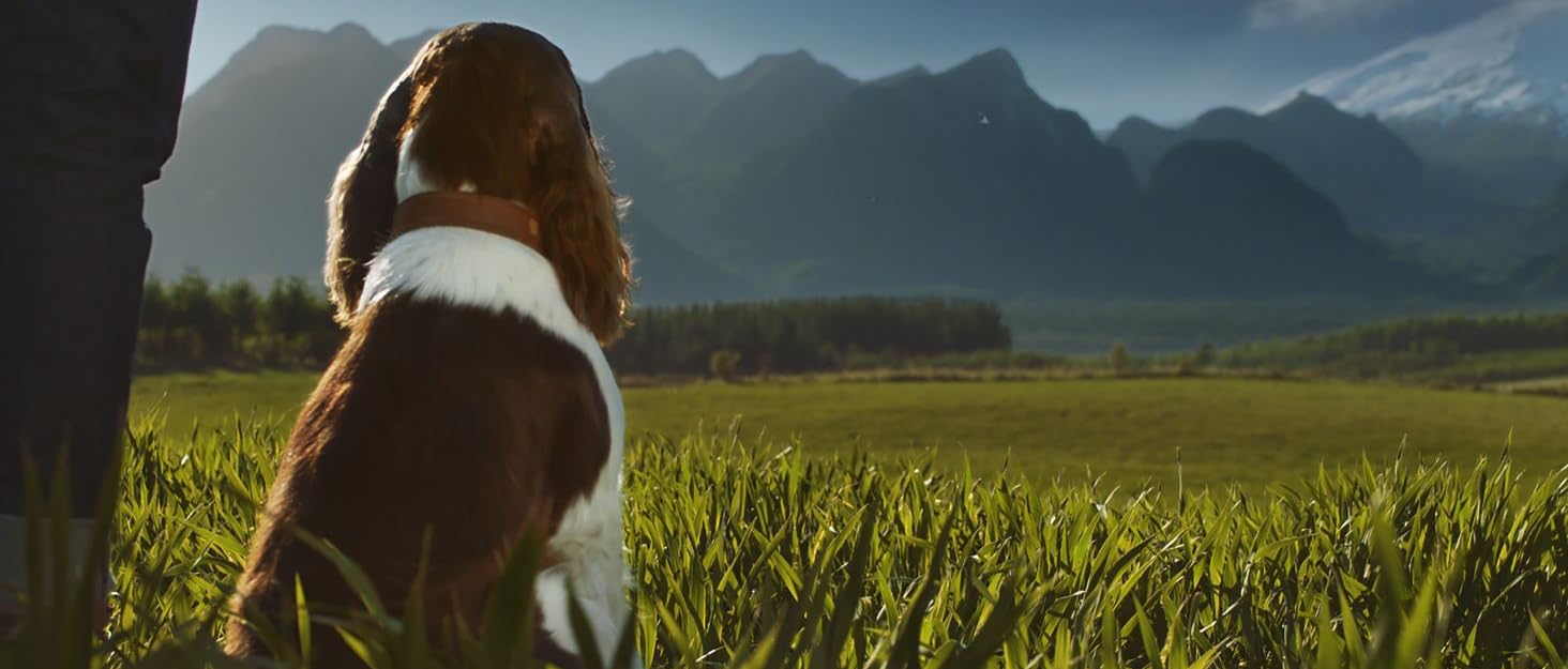 adafe57f 70b4 44d0 b7d4 d96d31b84eb9. CR0,100,1464,625 PT0 SX1464 V1