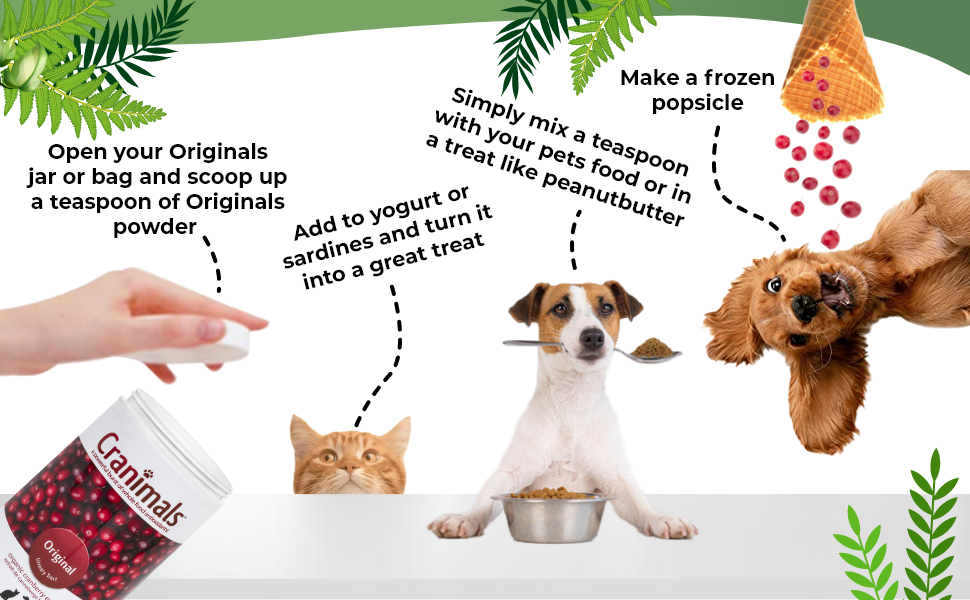 Cranimals Cranberry Powder for Dogs UTI Supplement 6 Month Supply, Prevents UTIs, Incontinence