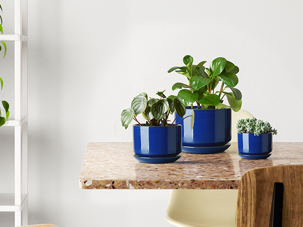 LE TAUCI Ceramic Plant Pots, Set of 3, 4.3+5.3+6.8 inch
