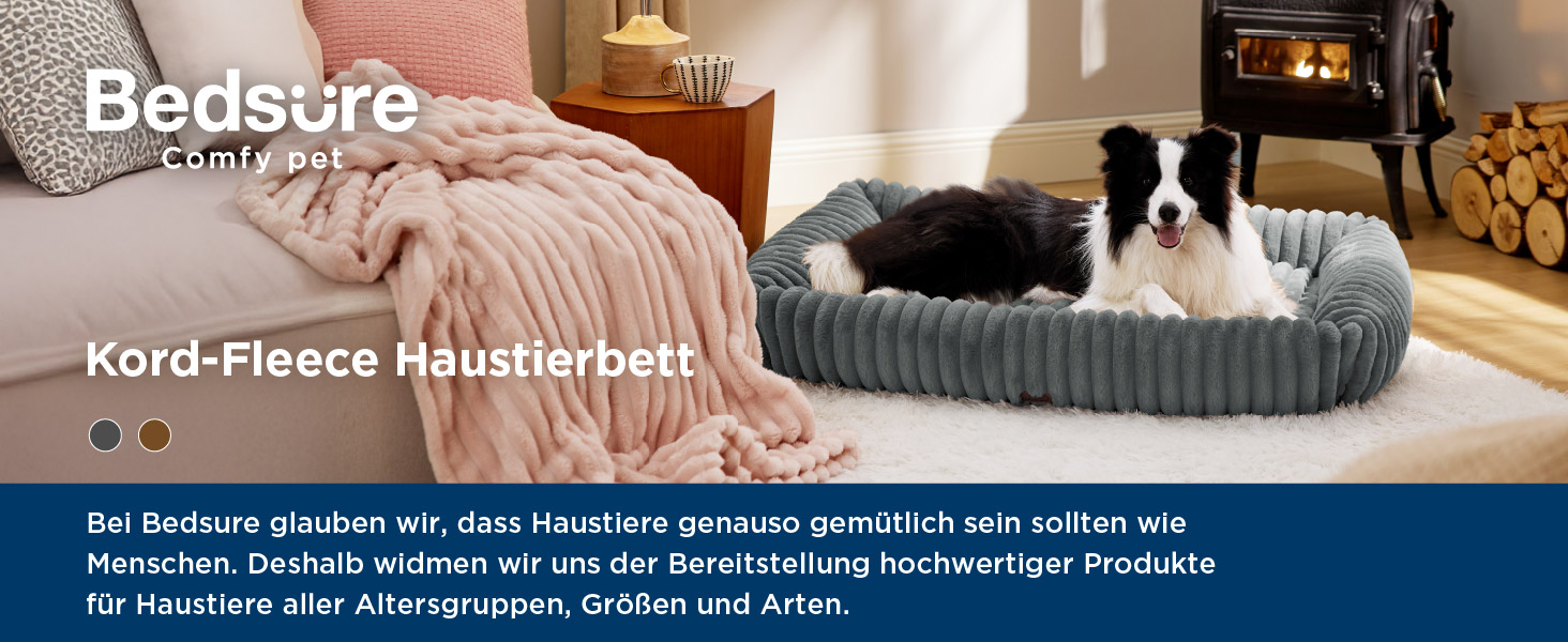 Eine Katze liegt auf einem Hundebett