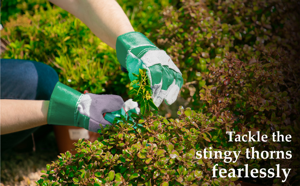 gardening gloves thorn proof