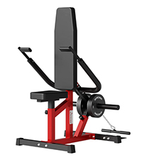 Seated dip machine