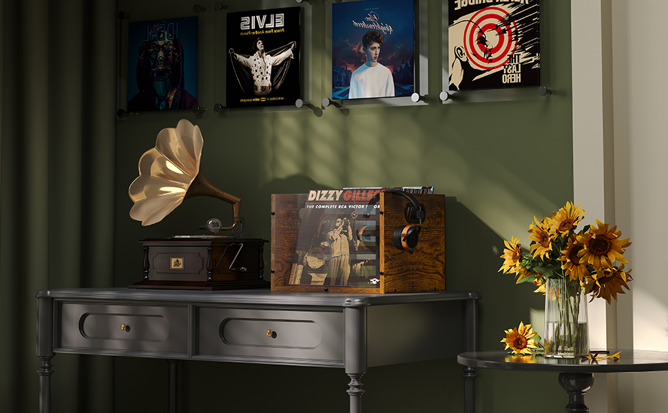 Xcosrack Acrylic Vinyl Record Storage, Wooden Record