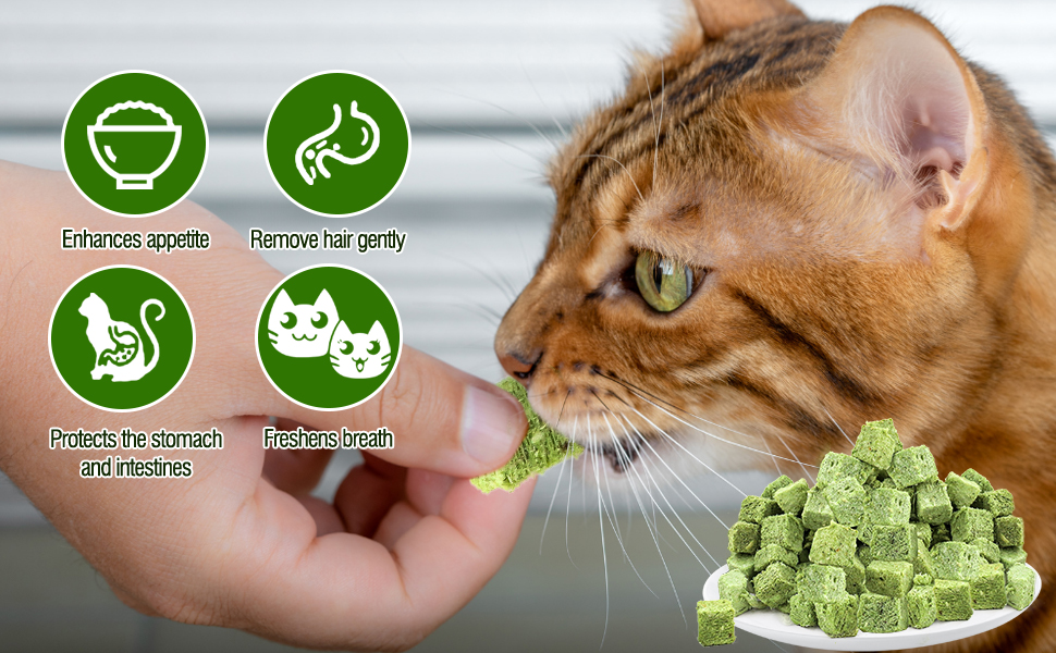 Serie de imágenes que muestran la preparación de comida o golosinas para gatos, con iconos circulares verdes. Incluye verduras cortadas en cubitos y una demostración de alimentación.