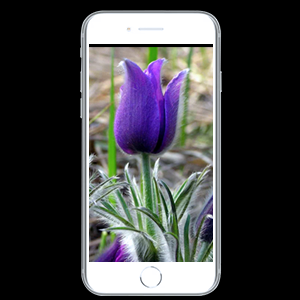 Small manufacture image 1