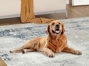 Pet Friendly