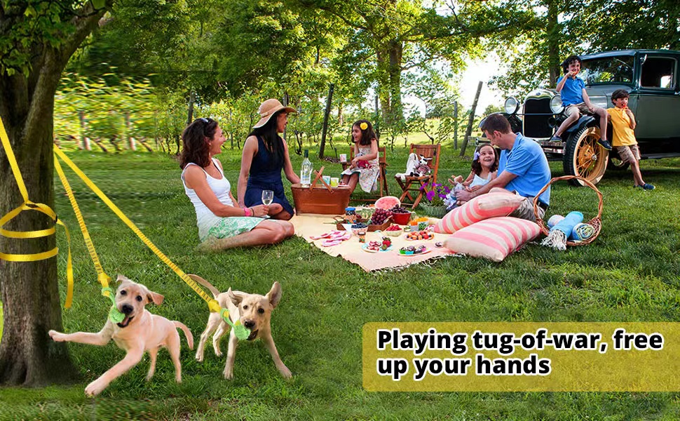 Dog Hanging Bungee Tug Toy for Two Dogs
