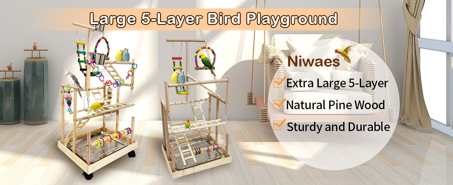bird playground