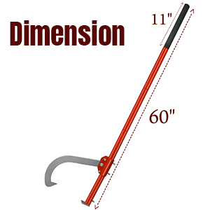 Dimensión