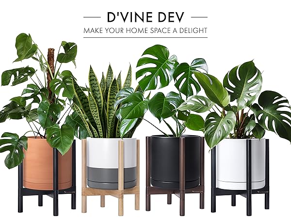 Amazon.com : D'vine Dev Ceramic Planter with Walnut Color