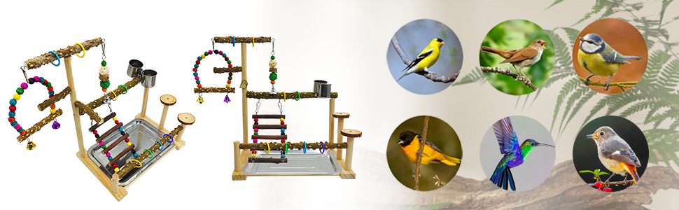 play area for birds