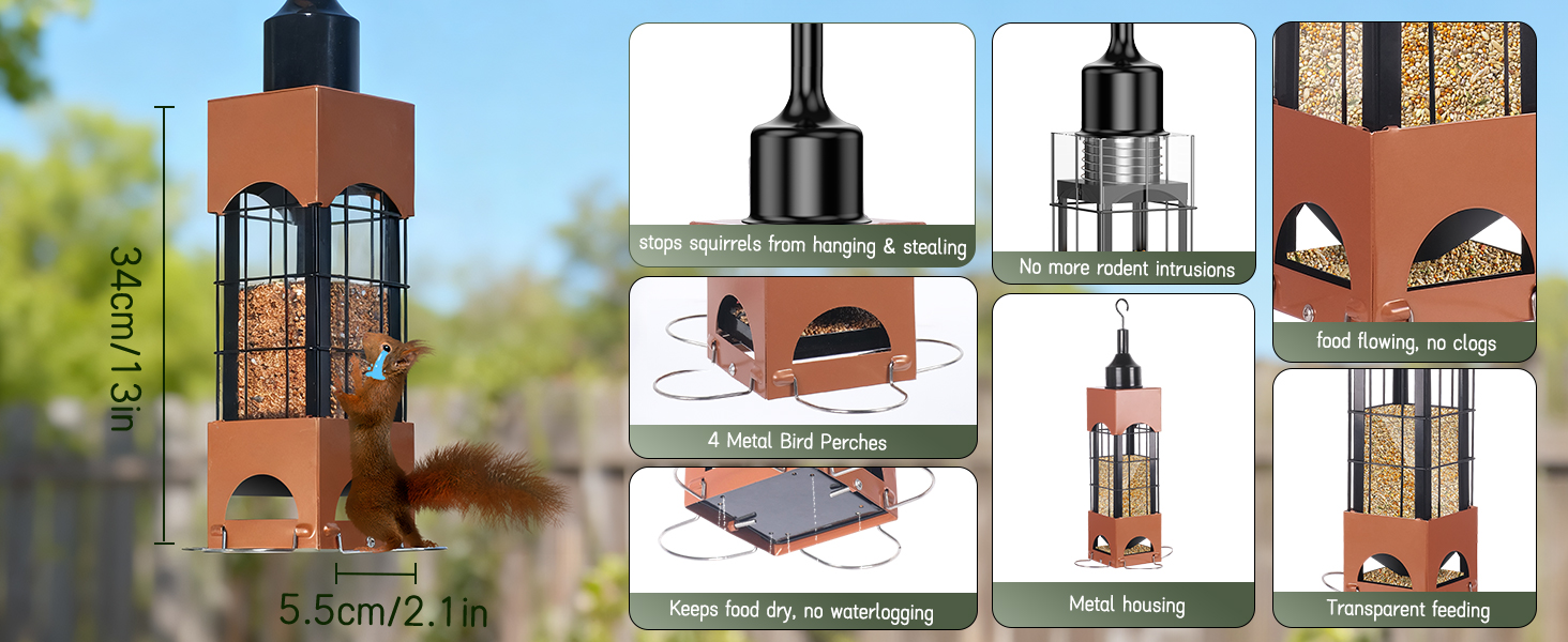 bird feeder squirrel proof