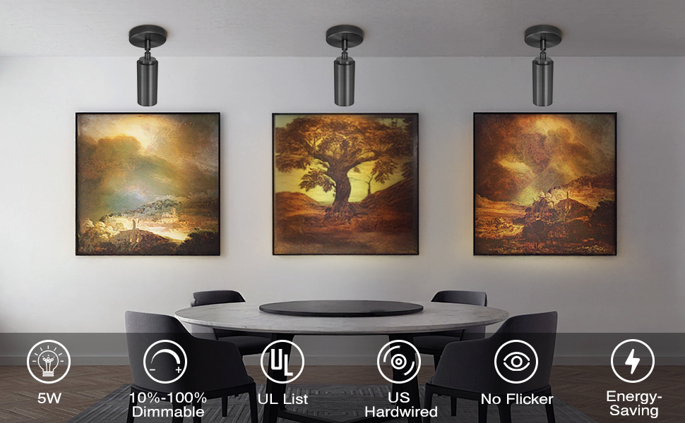 hardwired Ceiling Spotlight