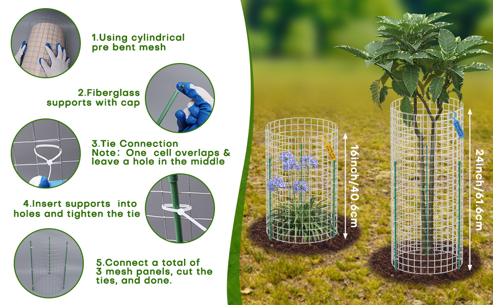 Plant Cages Easy to Assbemly