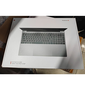15.6in Silver Slim Laptop
