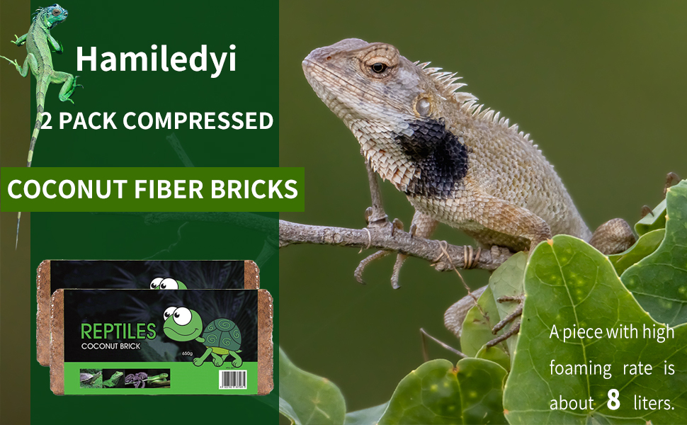 Hamiledyi Compressed Coconut Fiber Substrate,2 Pcs