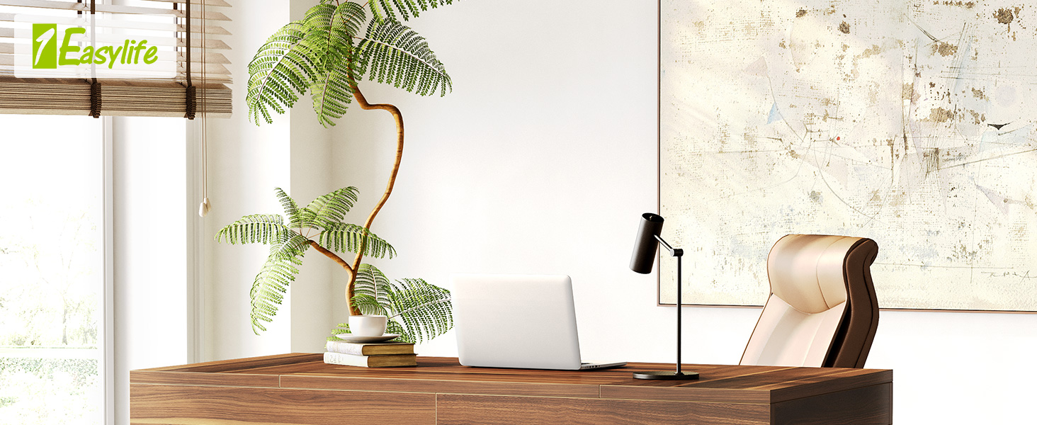 1Easylife 55 Inches Long Computer Desk, Large Wooden Home