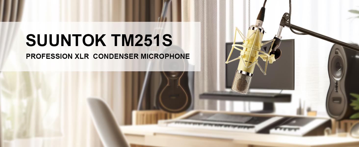 tube condenser microphone