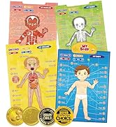 BEST LEARNING i-Poster My Body - Educational Anatomy Talking Toy to Learn Body Parts, Organs, Mus...