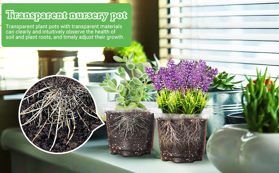 Anyangjia Clear Nursery Pots, 60 Packs 4 Inches Seedling