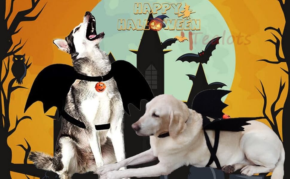 Halloween Dog Costume Pet Bat Wings, Funny Costumes for