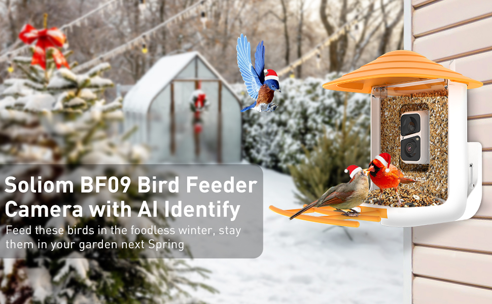 Soliom BF08Smart Bird Feeder Camera with AI Identify Bird Species, Wild Bird Watching Video
