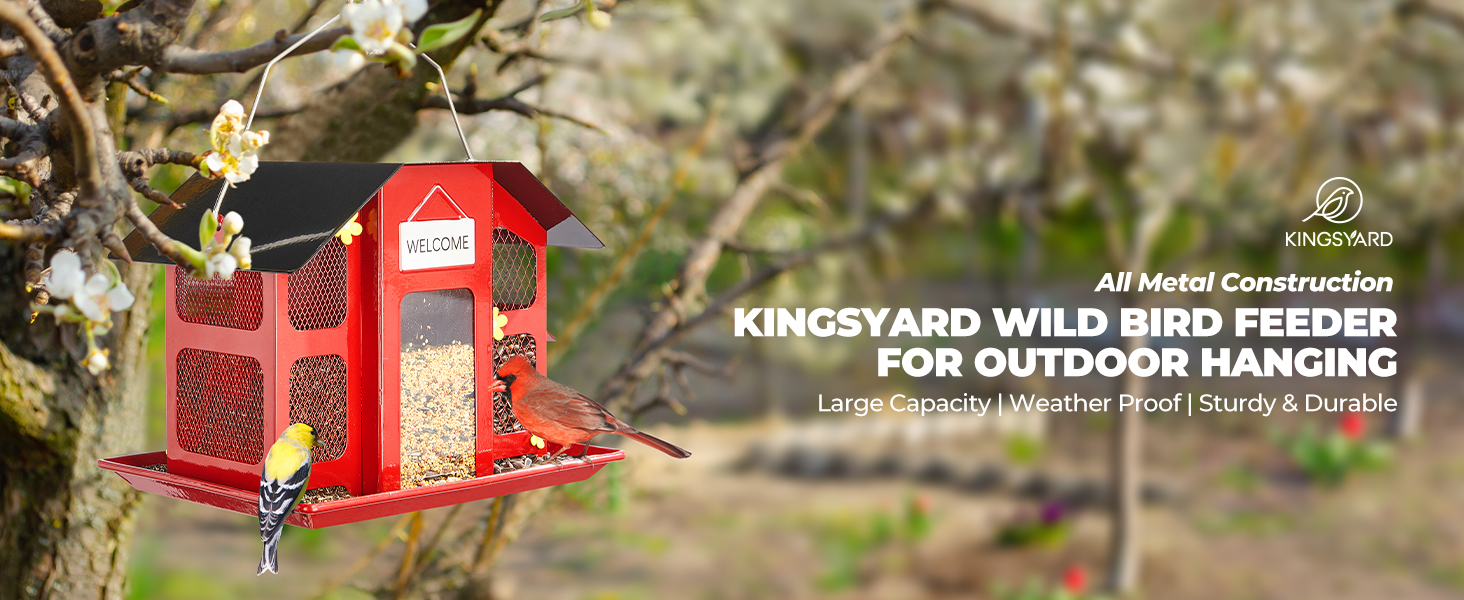 bird feeder