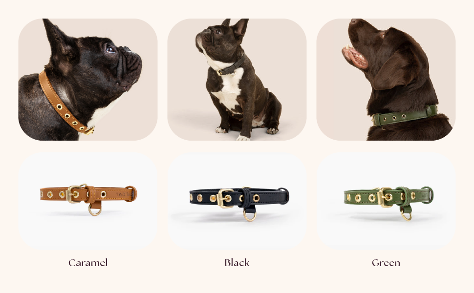 Two Tails Pet Company Cactus Leather Dog Collar Eco