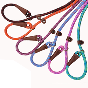 slip leash for small dogs