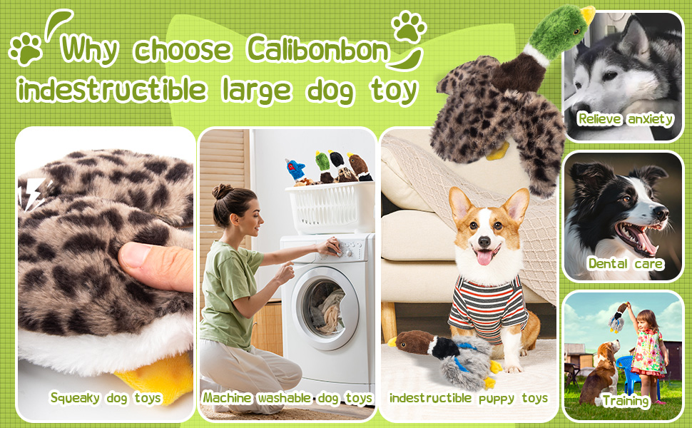 dog toy