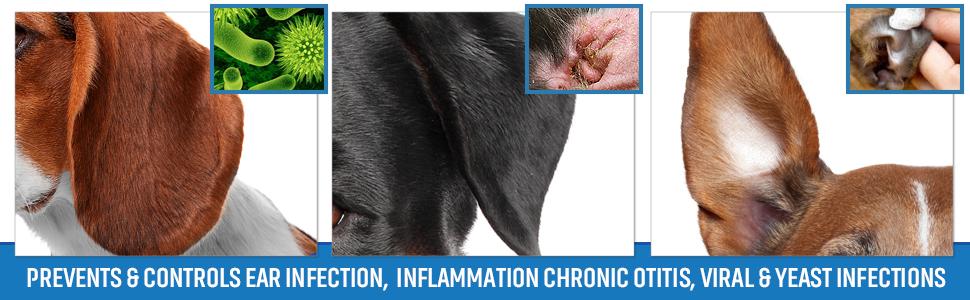 Ear Infection Treatment &amp; Control for Dogs and Cats
